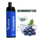 BLUEBERRY ICE 5000PUFFS