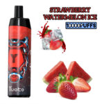 STRAWBERRY WATERMELON ICE 10000PUFFS