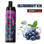BLUEBERRY ICE 10000PUFFS